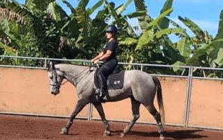 “I Am Back!” A Remarkable Injury Recovery Story | SPORTSMEDICINEACUPUNCTURE.COM